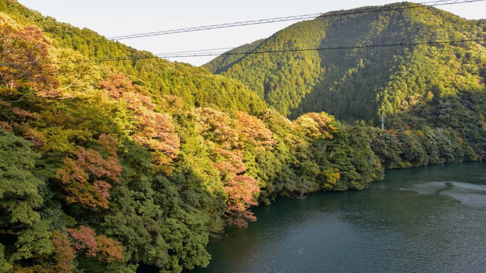 いびがわマラソン