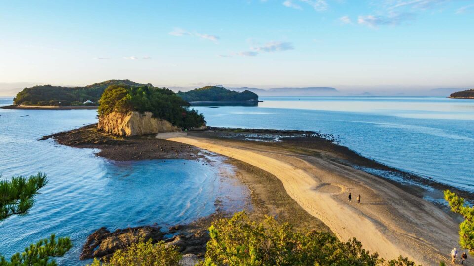 瀬戸内海タートル・フルマラソン全国大会
