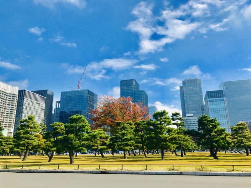 周回コース