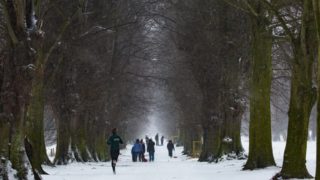 冬の寒い時期でも快適なランニングを!おすすめの防寒ランニングウェア7選
