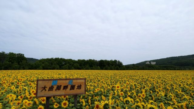 オホーツク網走マラソン