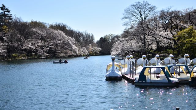 井の頭公園