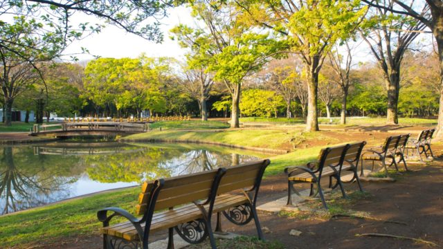 代々木公園