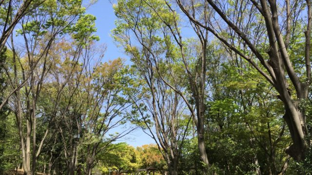 府中の森公園