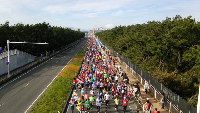 湘南国際マラソン