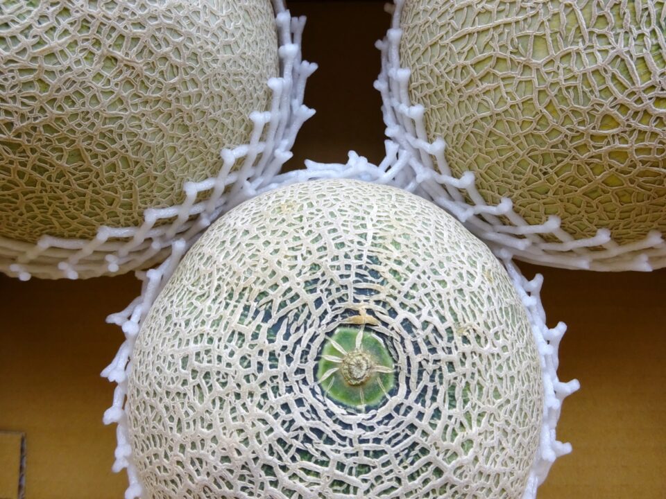 メロン