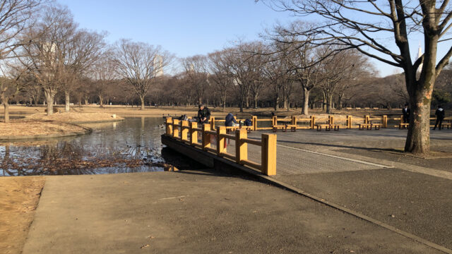 代々木公園