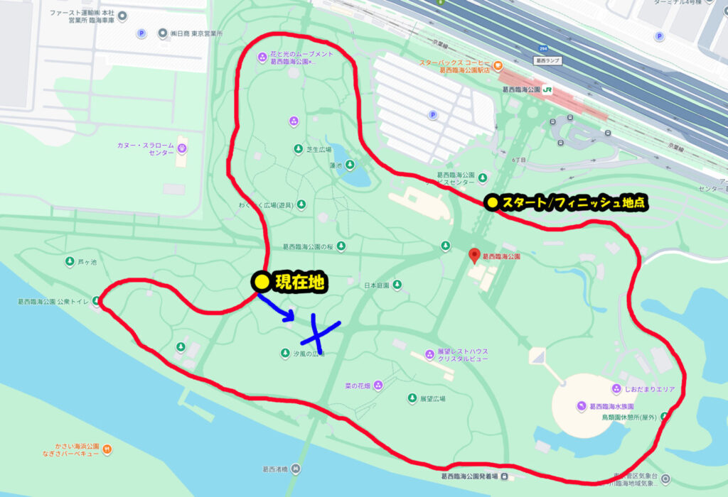 葛西臨海公園ランニングコース紹介|31らん(さいらん)