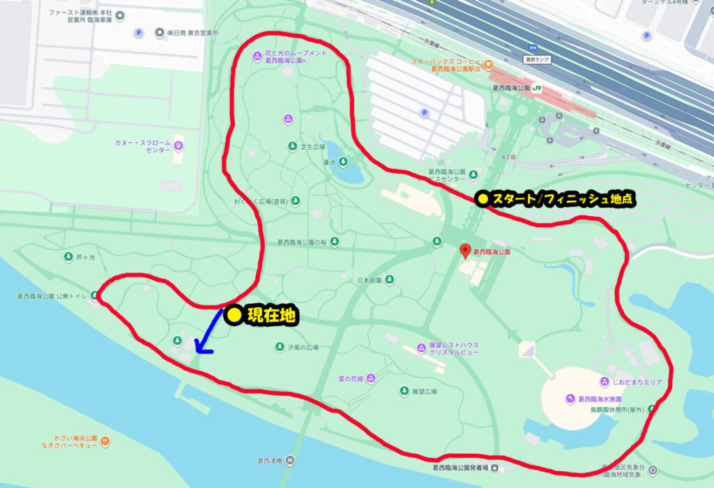 葛西臨海公園ランニングコース紹介|31らん(さいらん)