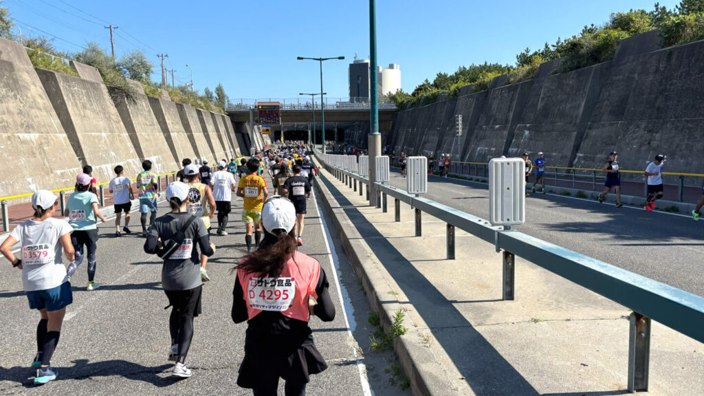 第40回新潟シティマラソン2024,31らん
