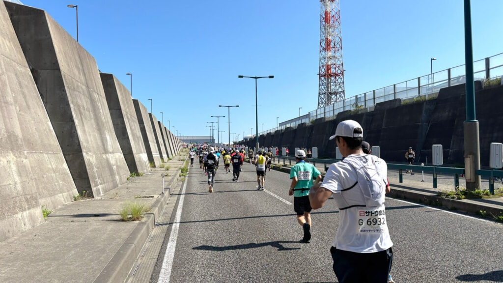 第40回新潟シティマラソン2024,31らん
