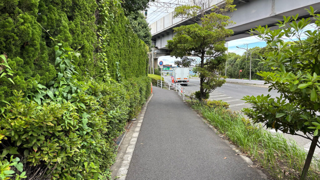 舞浜・東京ディズニーリゾート外周ランニングコース紹介｜31らん