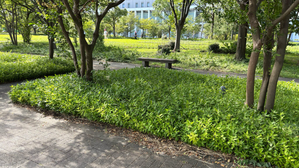 お台場ランニングコース紹介|31らん
