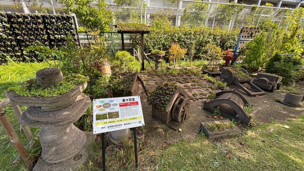 お台場ランニングコース紹介|31らん