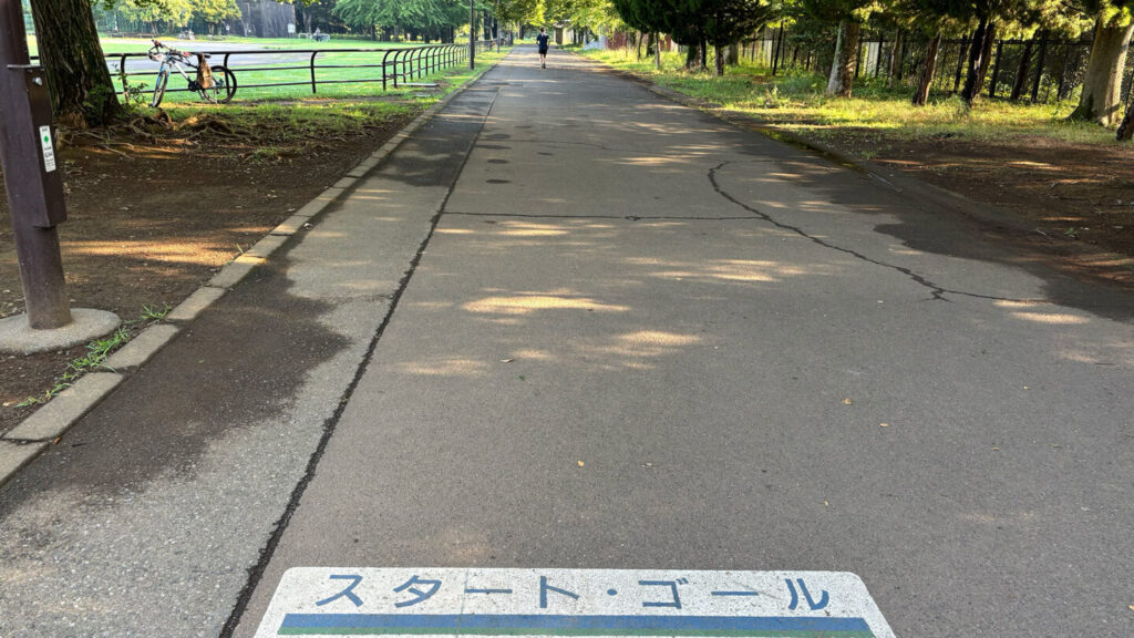 光が丘公園ランニングコースレビュー!31らん