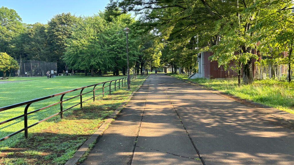 光が丘公園ランニングコースレビュー!31らん