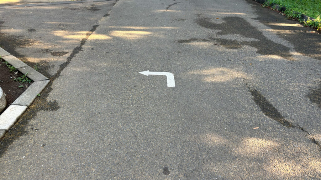 光が丘公園ランニングコースレビュー!31らん