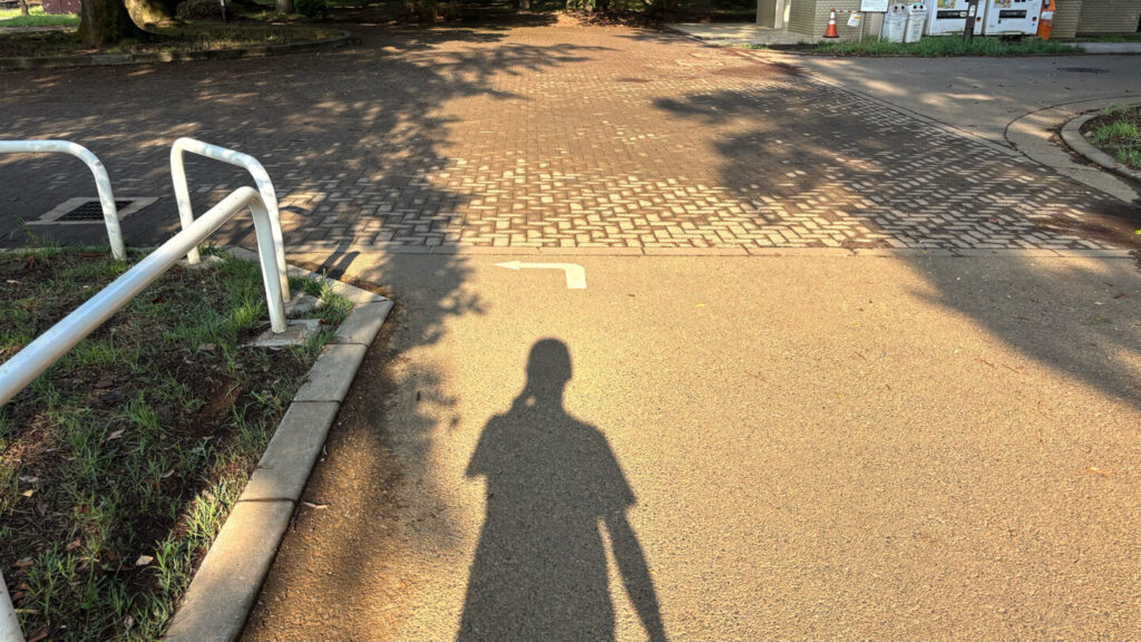 光が丘公園ランニングコースレビュー!31らん