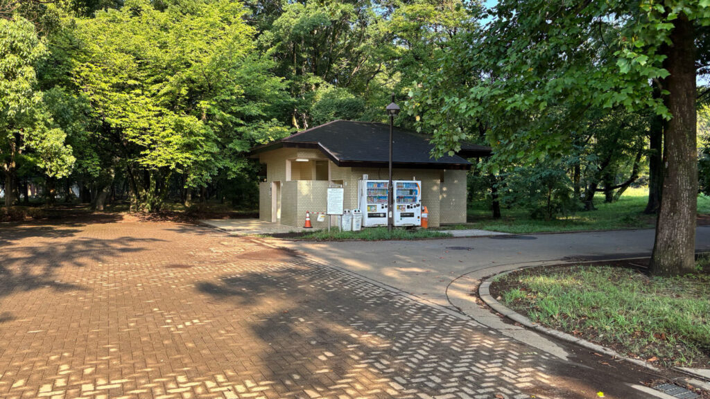 光が丘公園ランニングコースレビュー!31らん