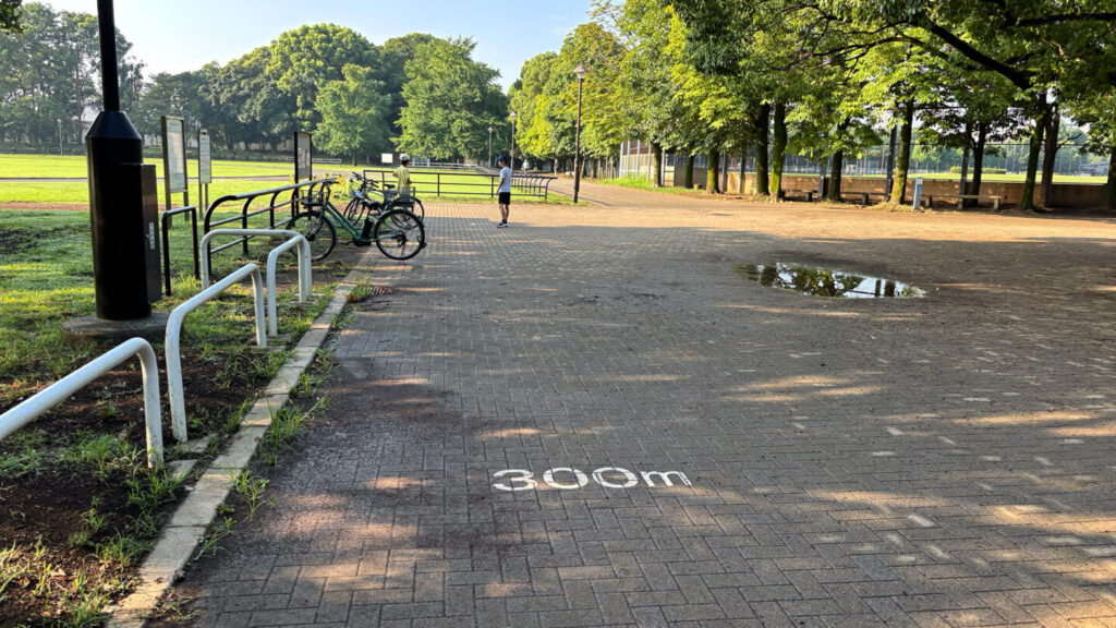 光が丘公園ランニングコースレビュー!31らん
