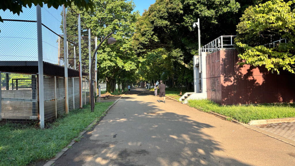 光が丘公園ランニングコースレビュー!31らん