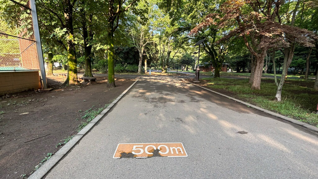 光が丘公園ランニングコースレビュー!31らん