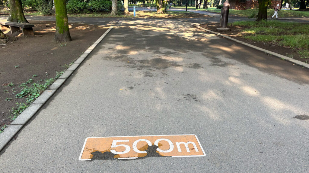 光が丘公園ランニングコースレビュー!31らん