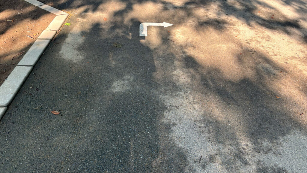 光が丘公園ランニングコースレビュー!31らん