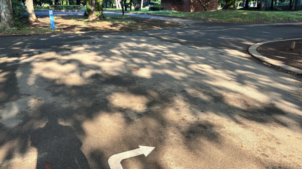 光が丘公園ランニングコースレビュー!31らん