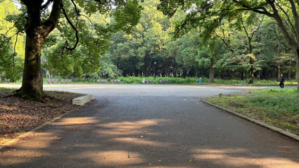 光が丘公園ランニングコースレビュー!31らん