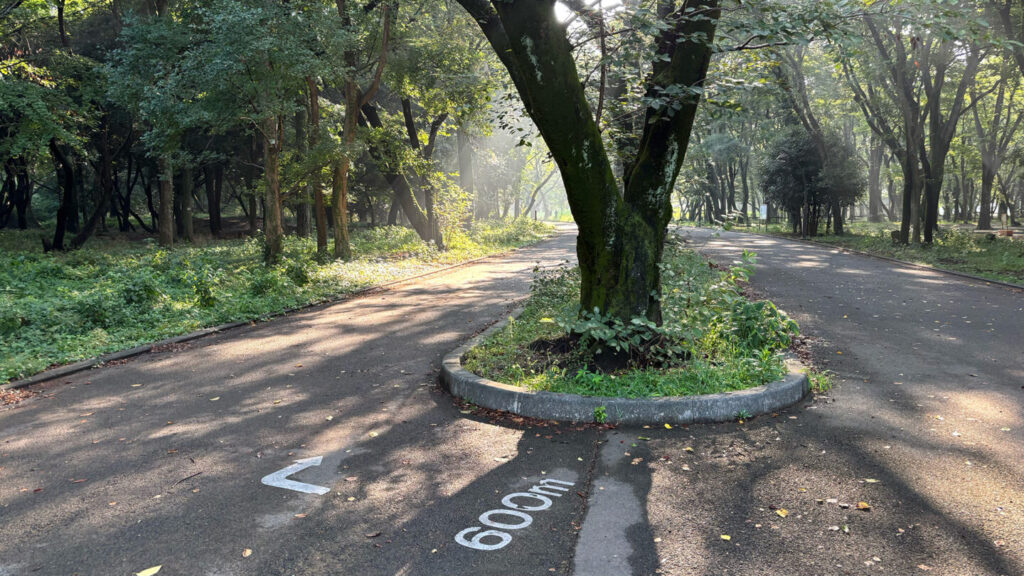 光が丘公園ランニングコースレビュー!31らん