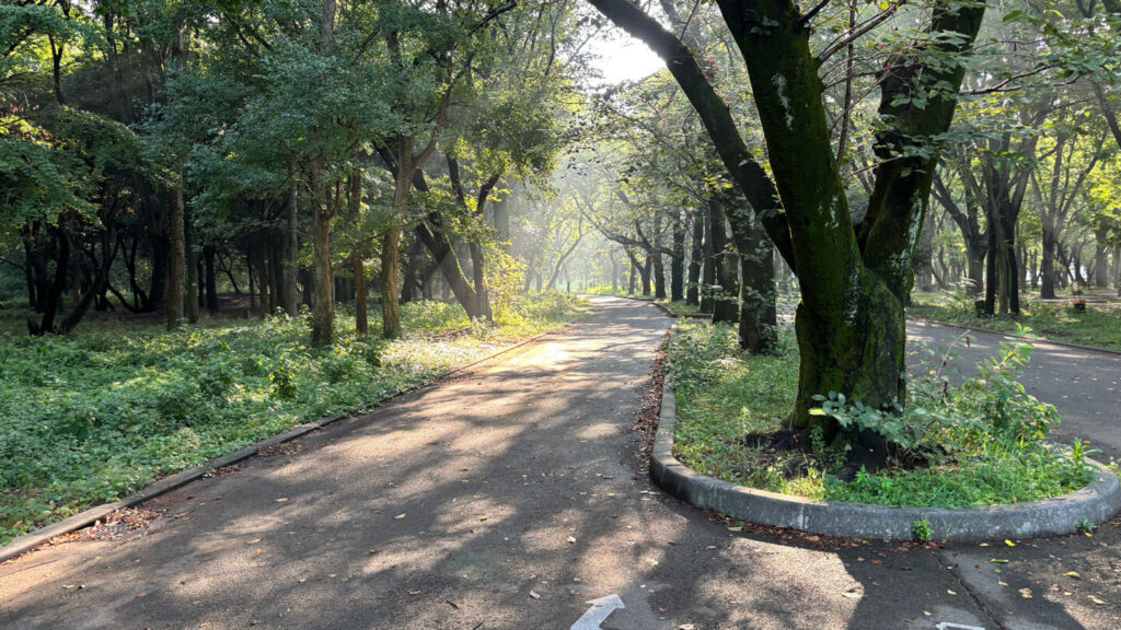 光が丘公園ランニングコースレビュー!31らん