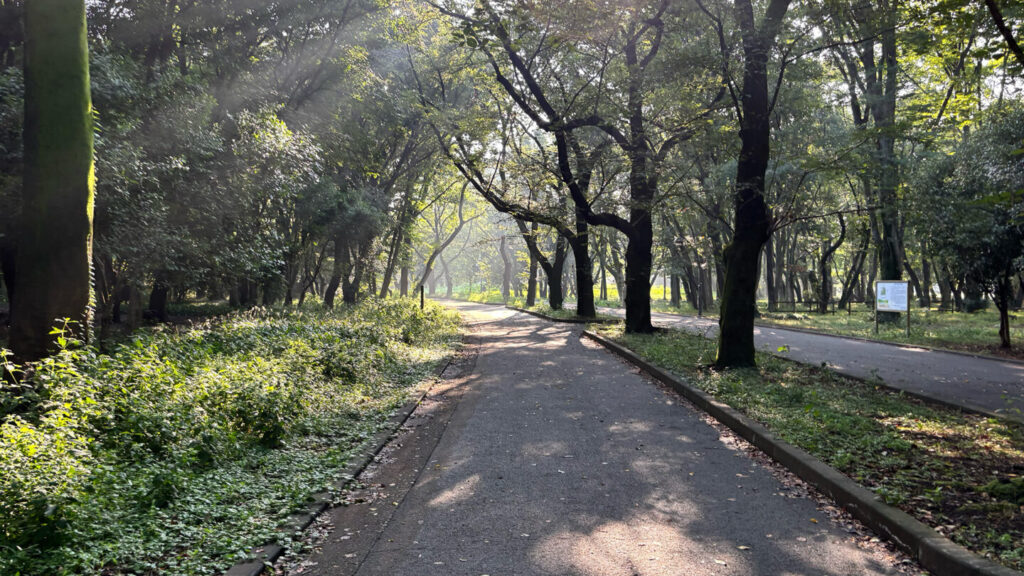 光が丘公園ランニングコースレビュー!31らん