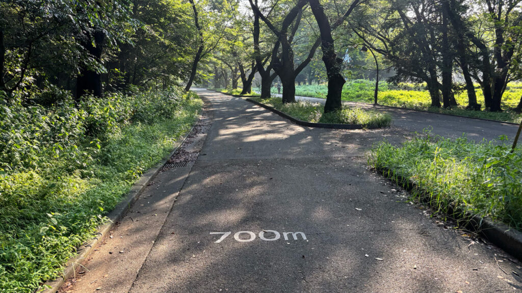 光が丘公園ランニングコースレビュー!31らん