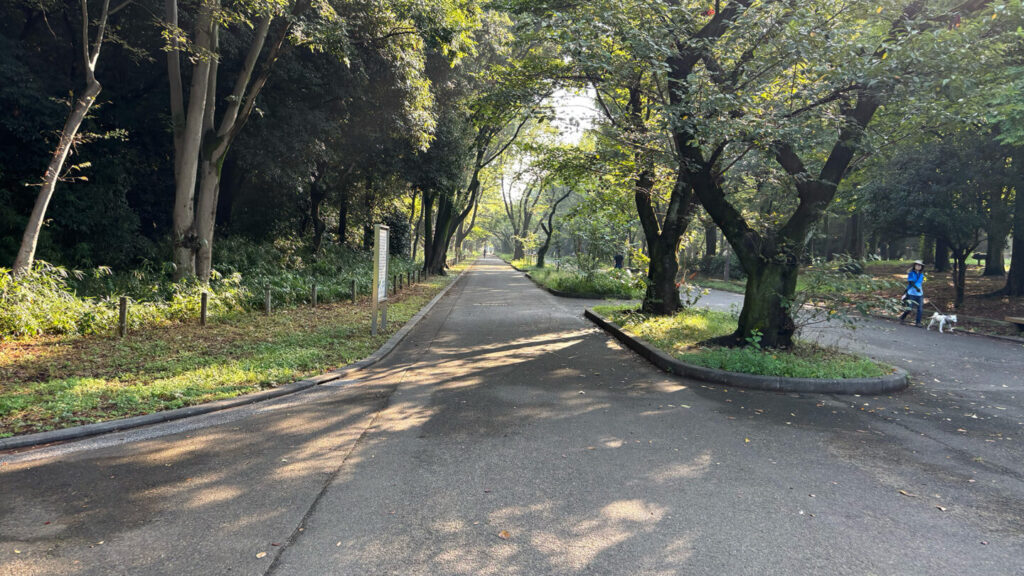 光が丘公園ランニングコースレビュー!31らん