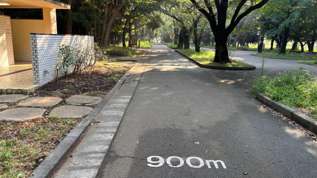 光が丘公園ランニングコースレビュー!31らん