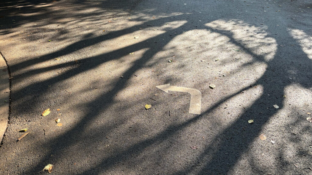光が丘公園ランニングコースレビュー!31らん