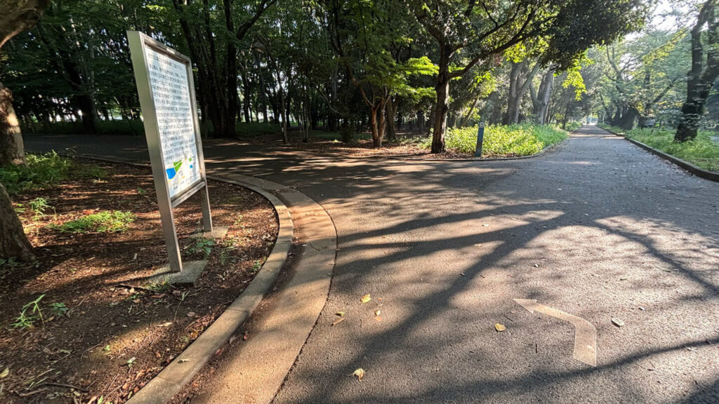 光が丘公園ランニングコースレビュー!31らん