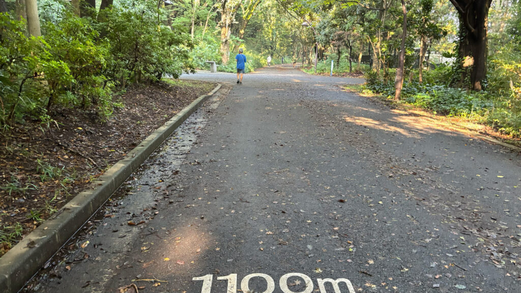 光が丘公園ランニングコースレビュー!31らん