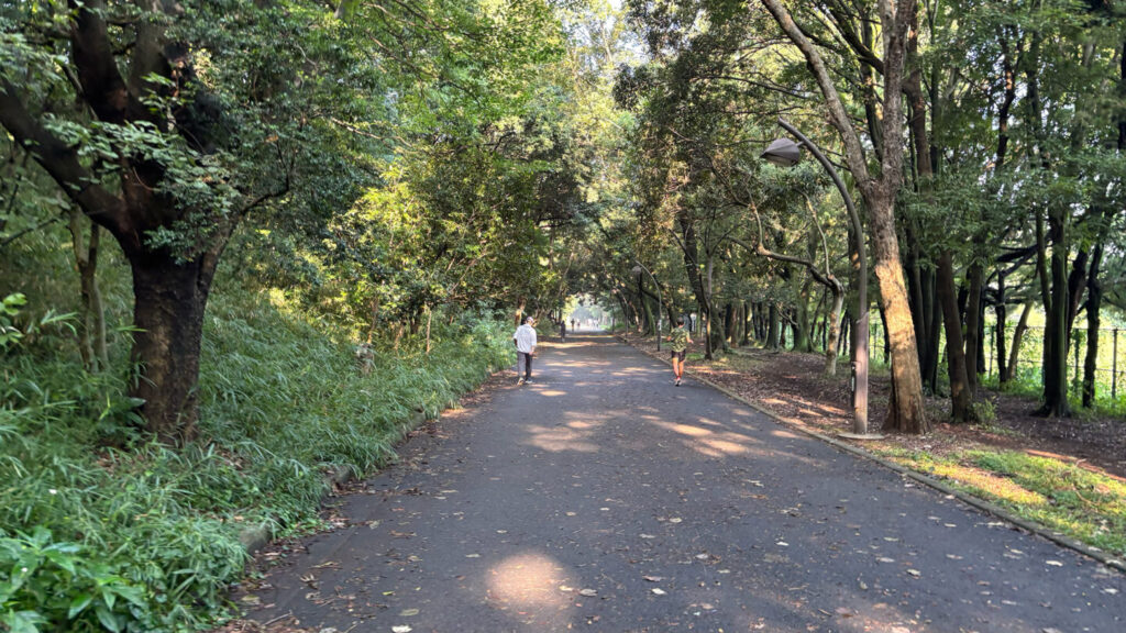 光が丘公園ランニングコースレビュー!31らん