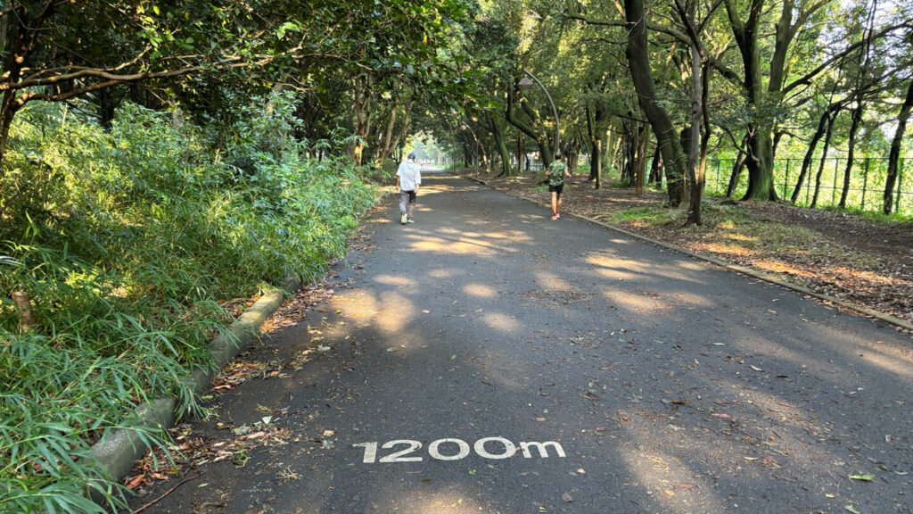 光が丘公園ランニングコースレビュー!31らん