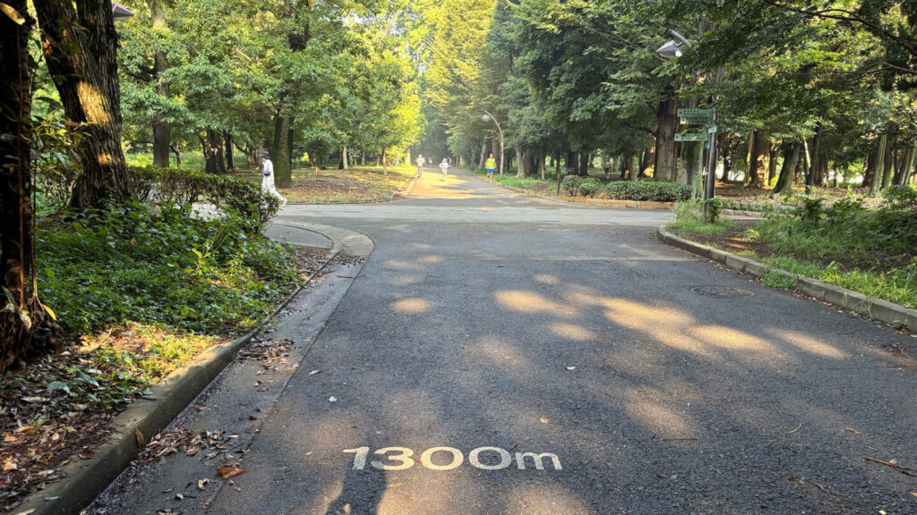 光が丘公園ランニングコースレビュー!31らん