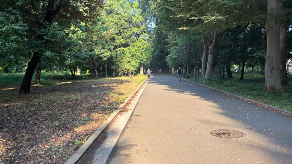 光が丘公園ランニングコースレビュー!31らん