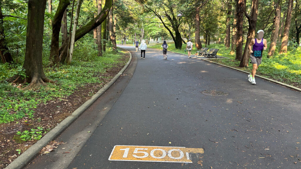 光が丘公園ランニングコースレビュー!31らん