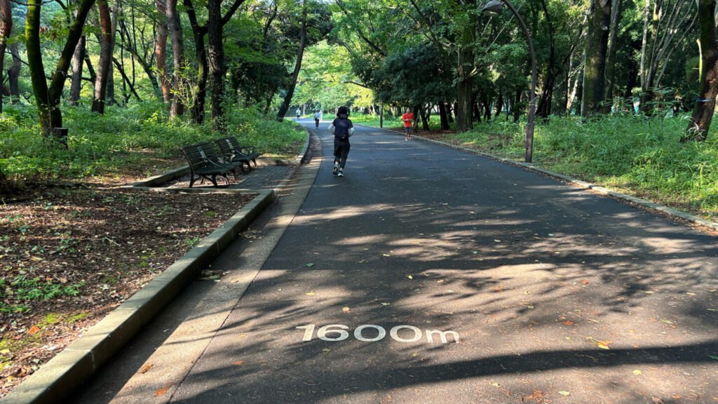 光が丘公園ランニングコースレビュー!31らん