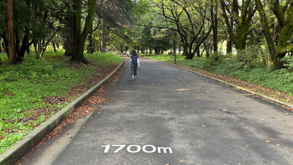 光が丘公園ランニングコースレビュー!31らん