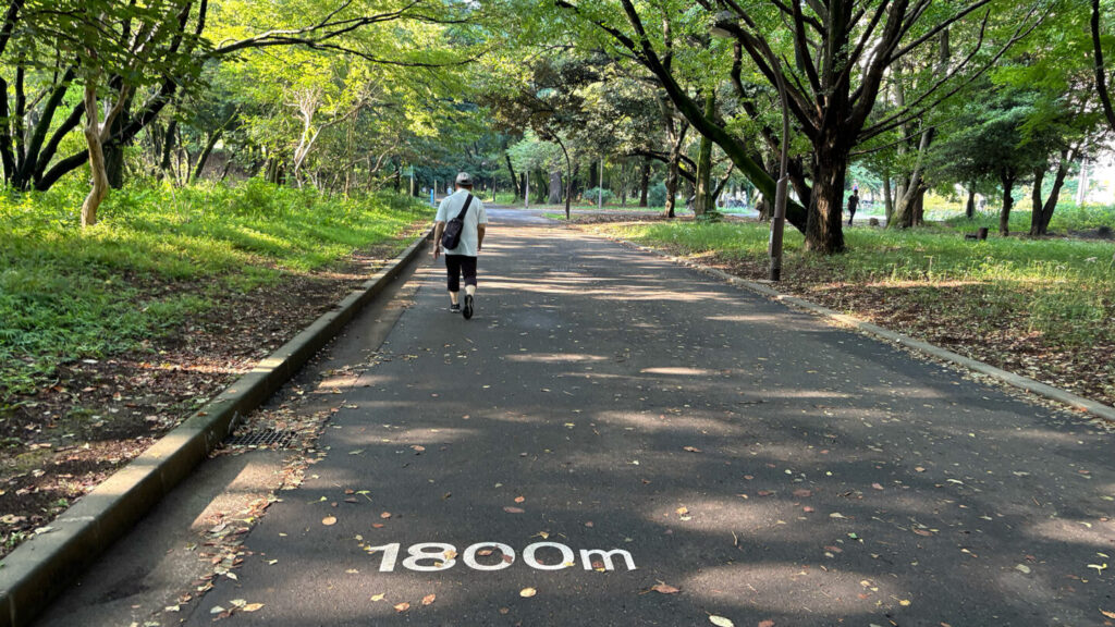 光が丘公園ランニングコースレビュー!31らん