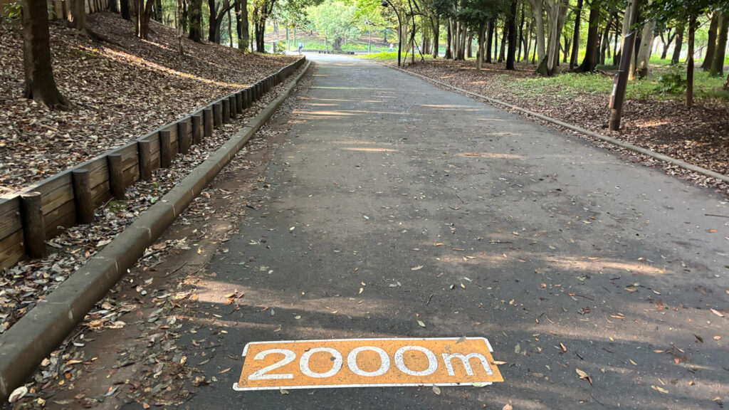 光が丘公園ランニングコースレビュー!31らん