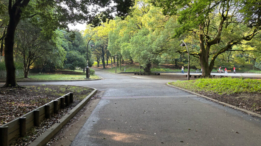 光が丘公園ランニングコースレビュー!31らん