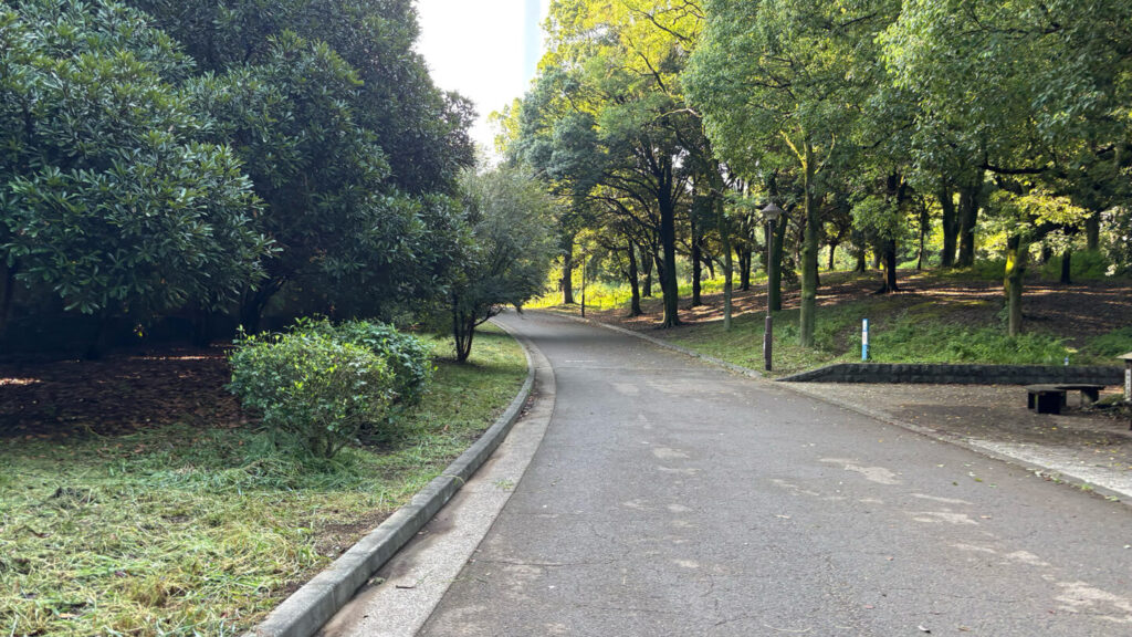 光が丘公園ランニングコースレビュー!31らん